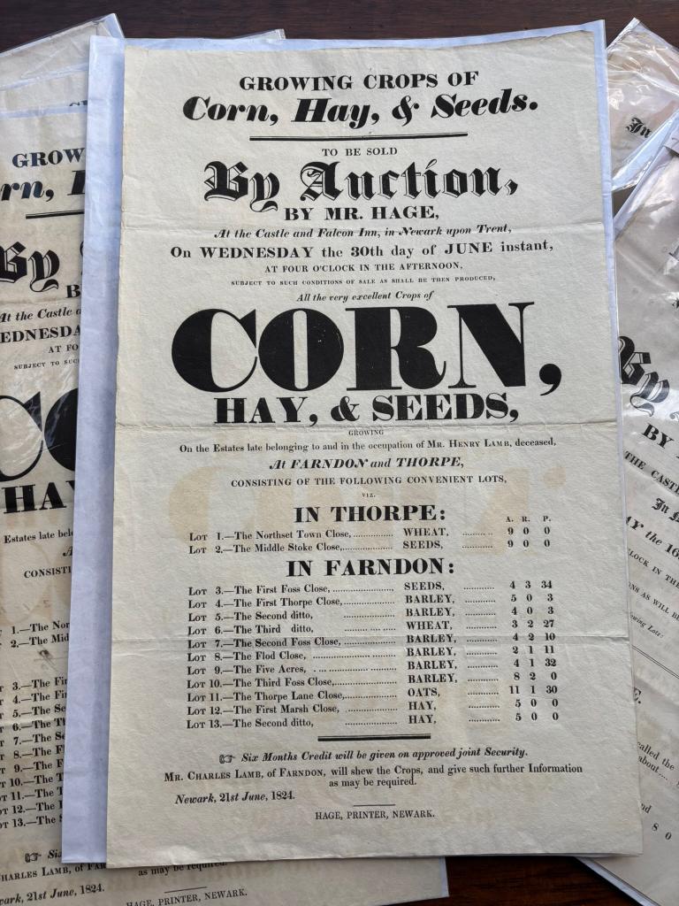 Victorian Auction Broadsheets